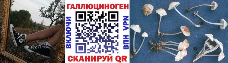 Галлюциногенные грибы Psilocybe  Ак-Довурак 